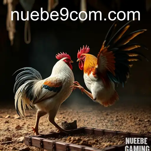 Cockfighting: Tradition, Controversy, and the Impact of NUEBE Gaming